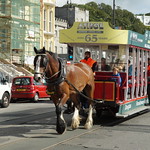 Douglas Horse Tram